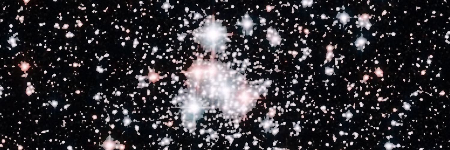 ☆ 𝑹𝒐𝒙𝒂𝒏𝒏𝒆 . banner