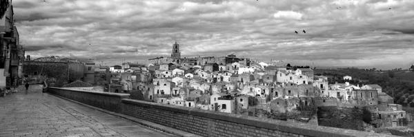 Irmis1982 Profile Banner