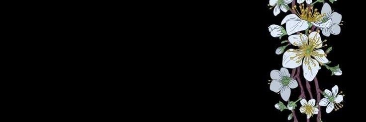 steeldeadeye banner