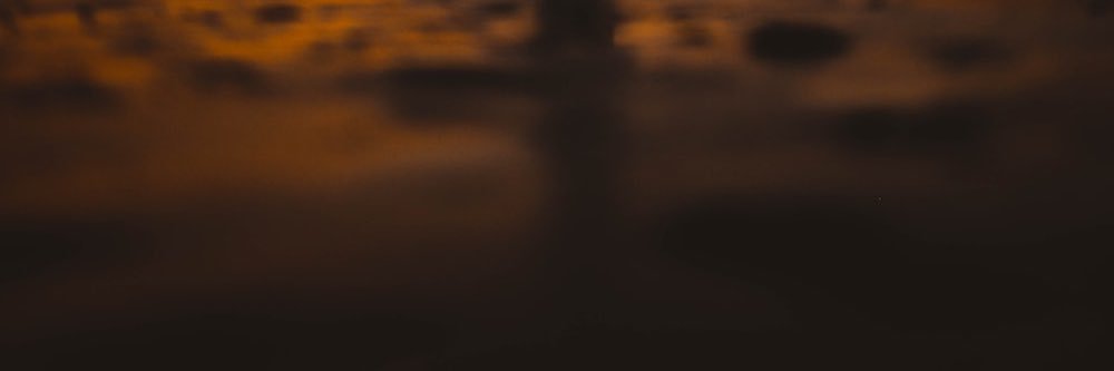 Wana ted banner