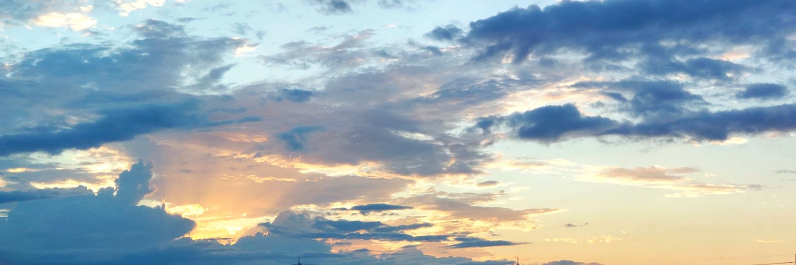 はくぼたん◂Ⓘ▸ banner