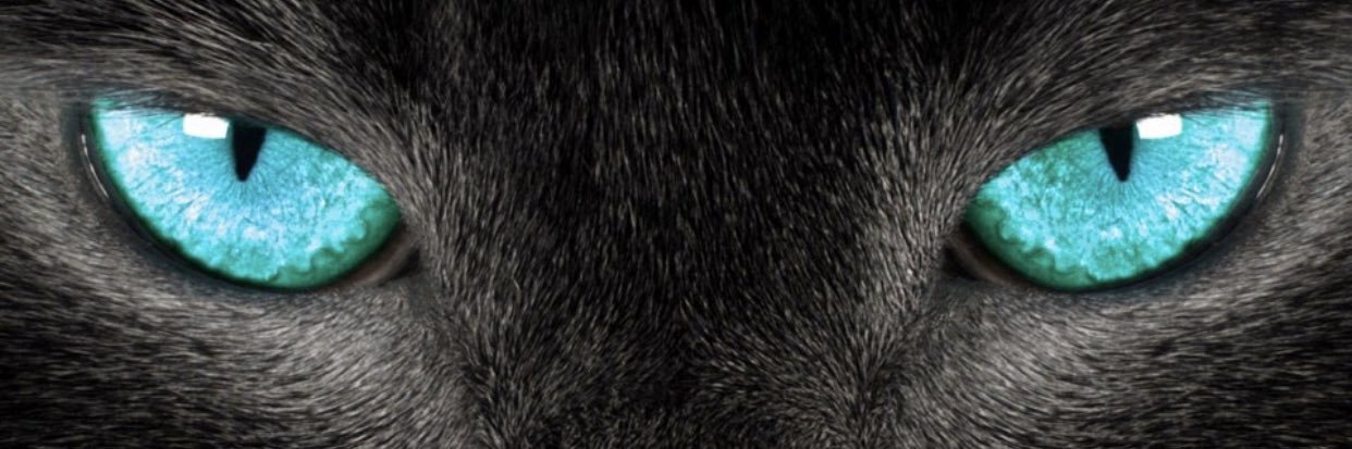 helmif88's profile banner image