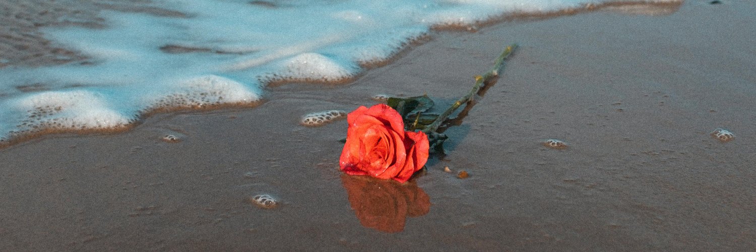 tati 🌹 banner