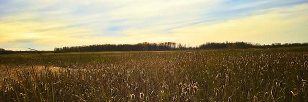 TylerPowell Profile Banner