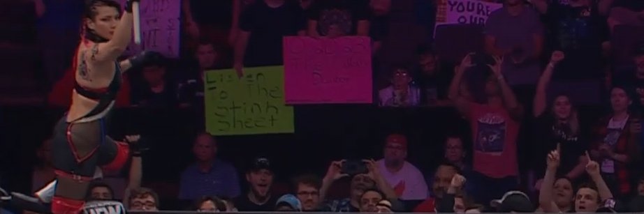Otis P. Stinktrigger's banner