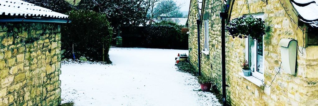 Sally Cutler banner
