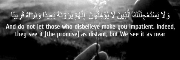 strwbrrypara Profile Banner