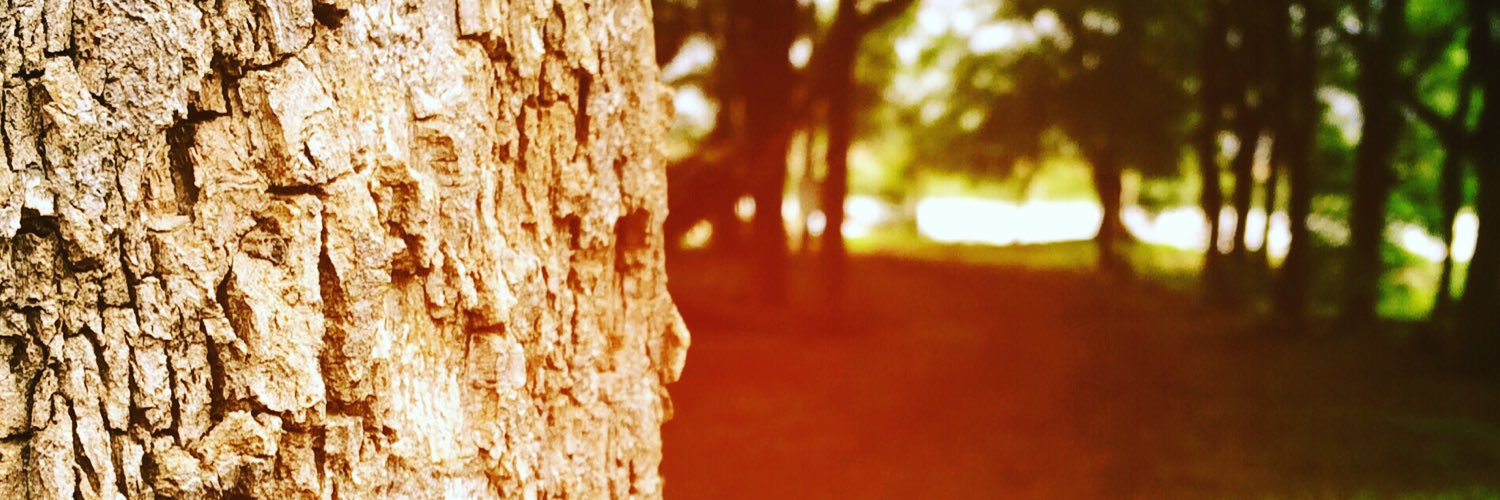 ShubhamGore10's profile banner image