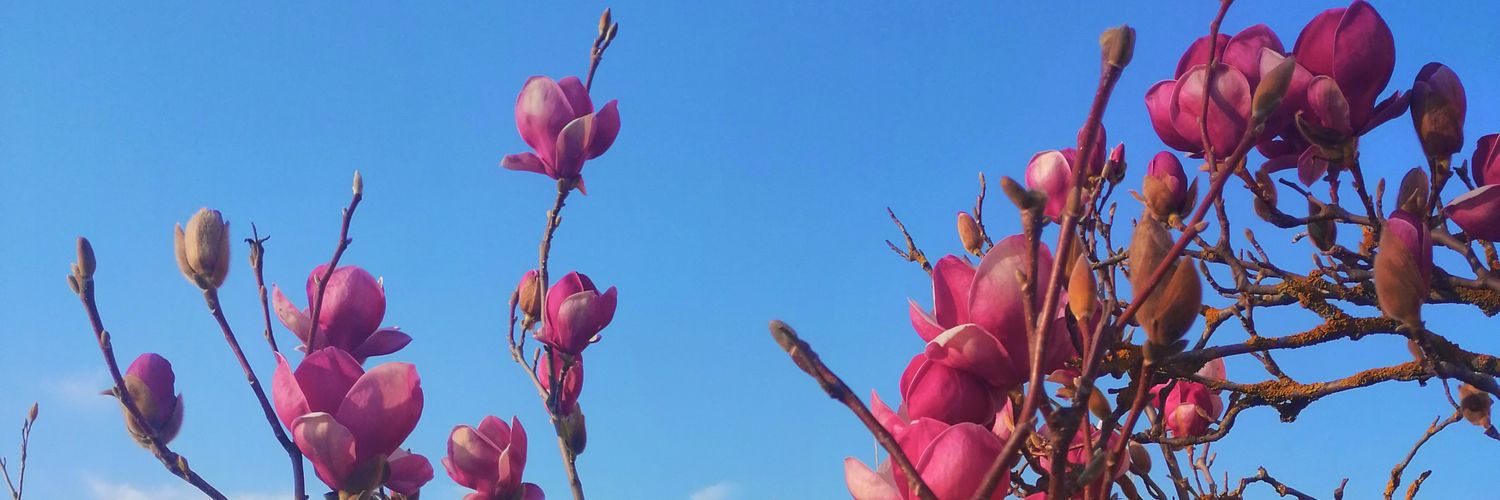eric_np's profile banner image