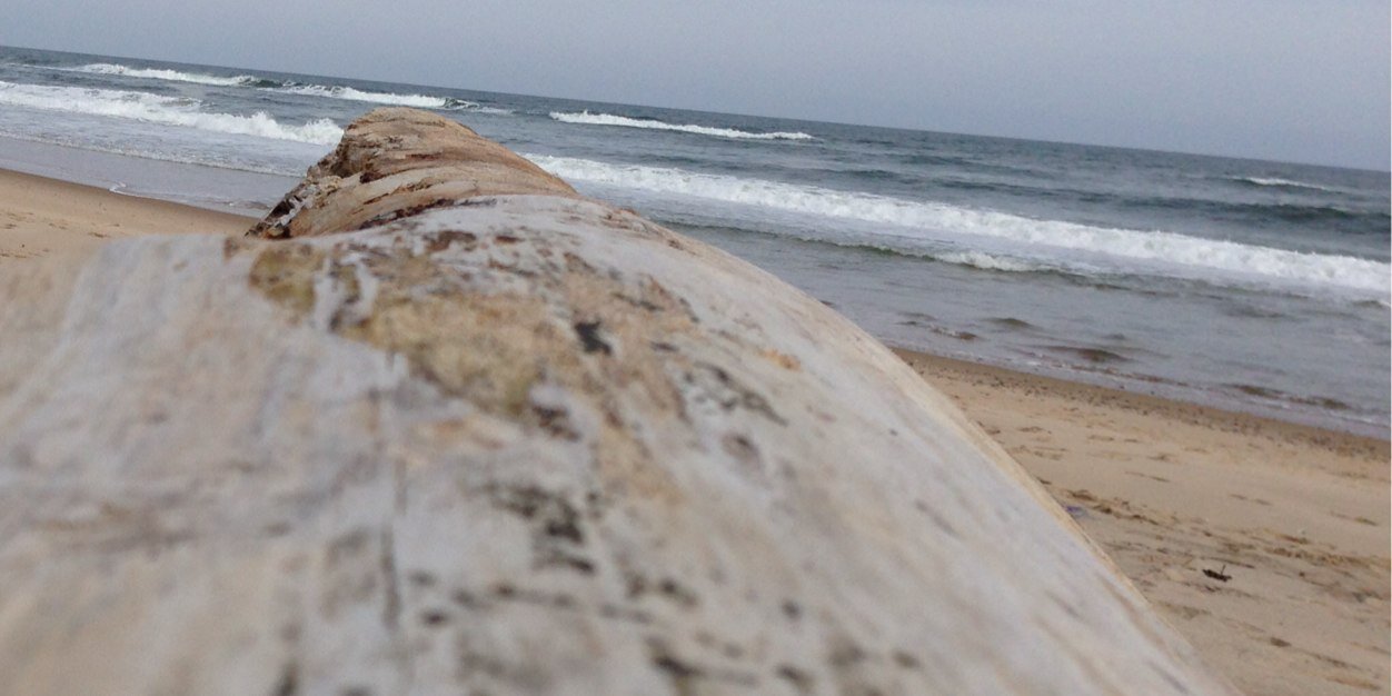 monapatel's profile banner image