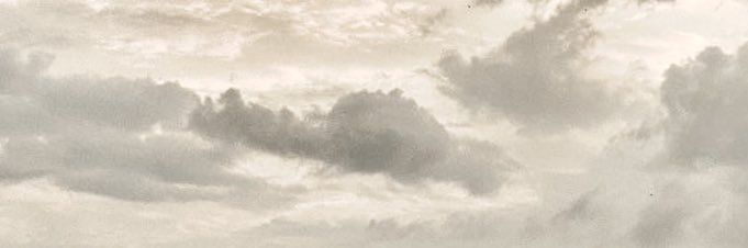 stasia is bittersweet ʚɞ 𑣿 banner