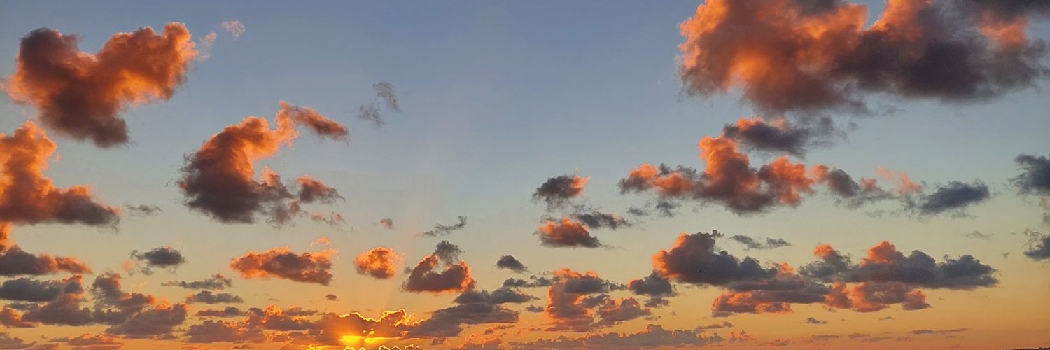 Tamialgo's profile banner image
