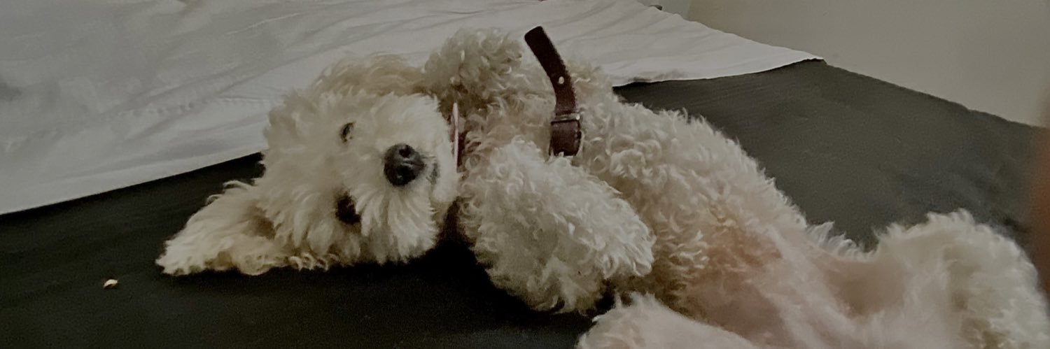 kathiinicol3's profile banner image