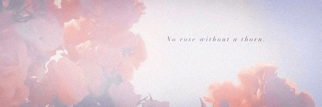 ♡̷𓏧 𝓂🪽 banner