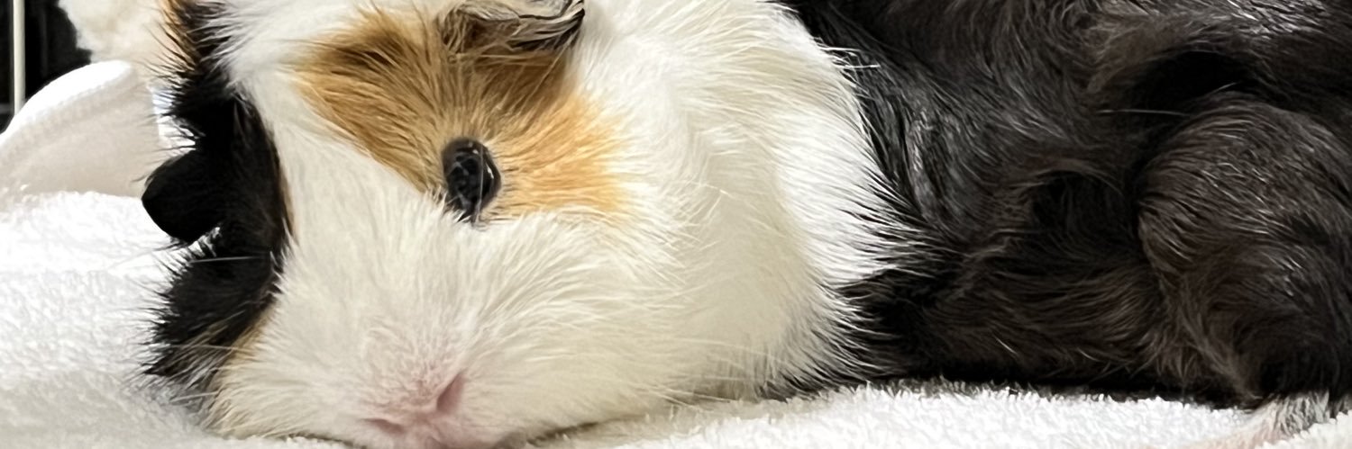 menmaesv_'s profile banner image