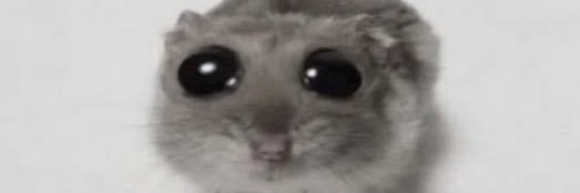 ᗩ° banner
