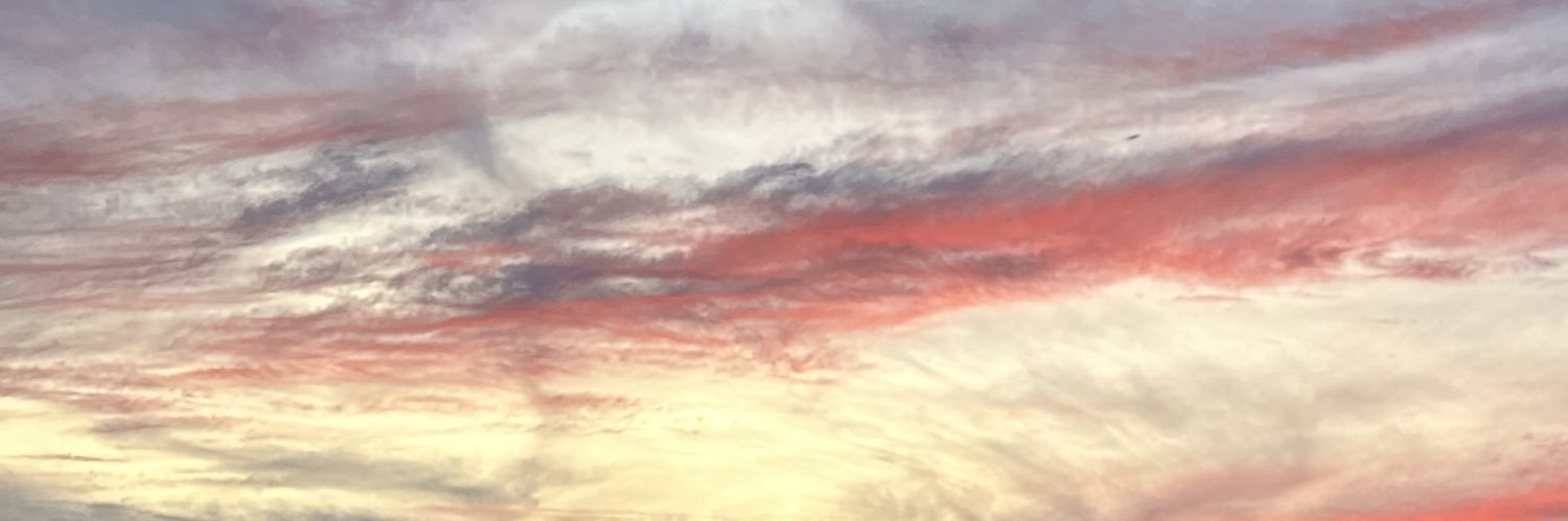 CotiBrito's profile banner image