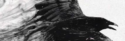 Quotèd The 3rd ♠️ banner