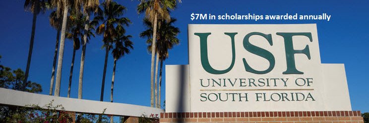 USFFSO's profile banner image