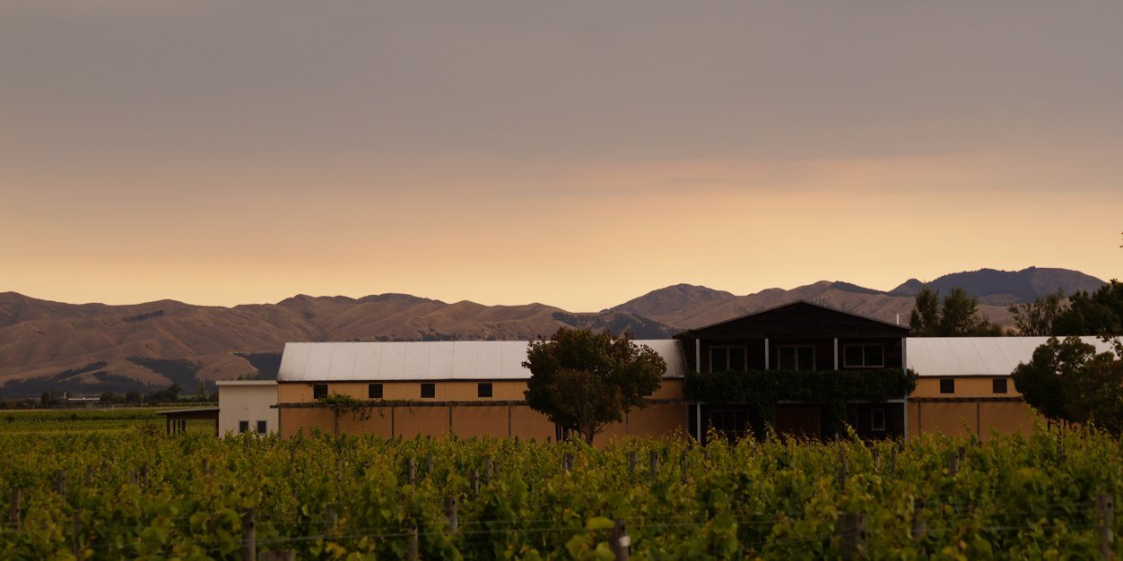 Adam Balasoglou banner