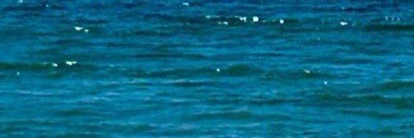 ceugmas Profile Banner