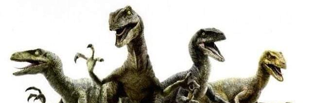 Sandor Molnar banner