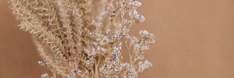 yolandeloves's profile banner image
