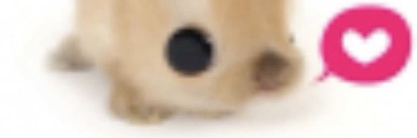 Luna7789🏳️‍⚧️ banner