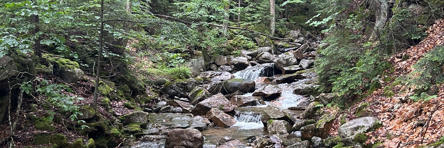 Jessica Baxter banner