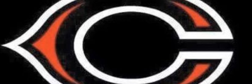 Cen10Volleyball banner