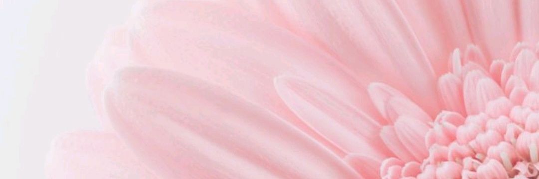 zayradrew's profile banner image