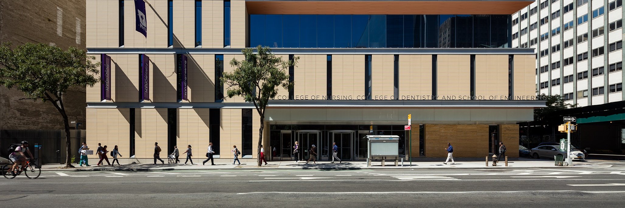 Eileen Sullivan-Marx banner