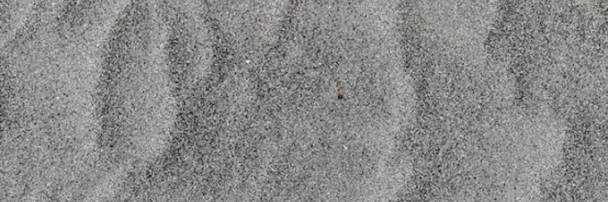 Suoheimo's profile banner image