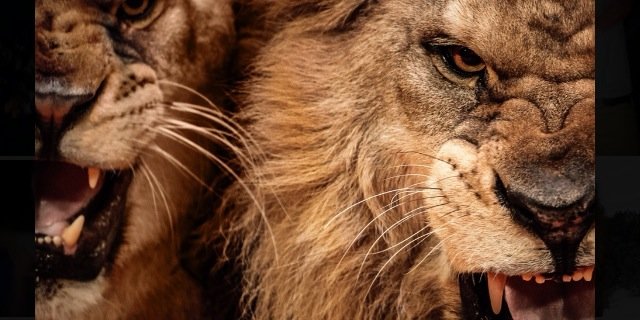 MSteighorst23's profile banner image