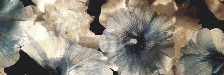 luiluizzo's profile banner image