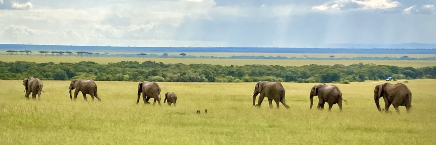 Tarnished Ryan banner