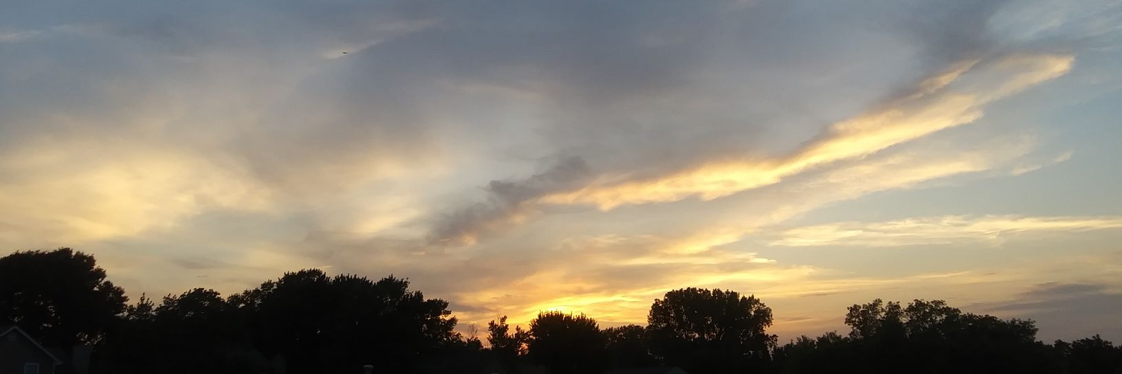 TrinaLovesInfo banner