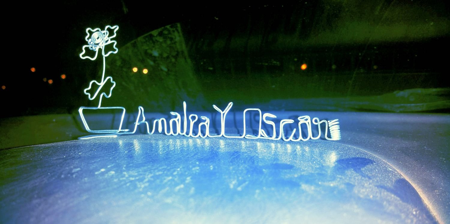 nalirosso's profile banner image