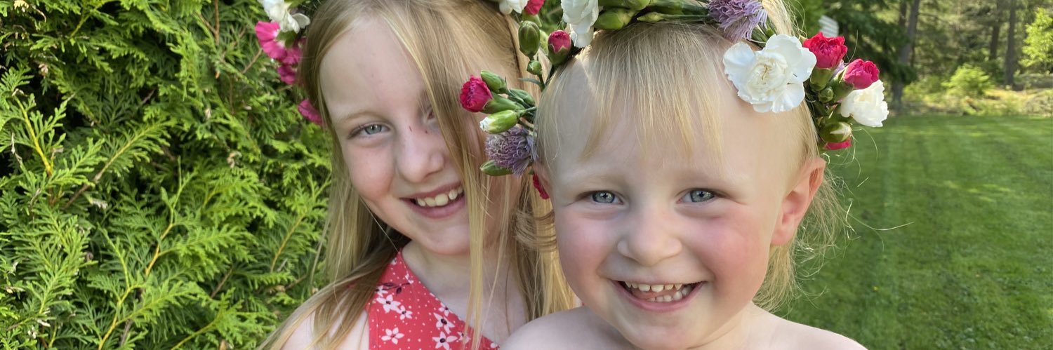 JohanKemi's profile banner image