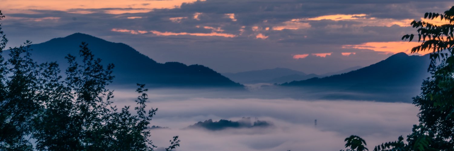 Crave Josh Jr. banner