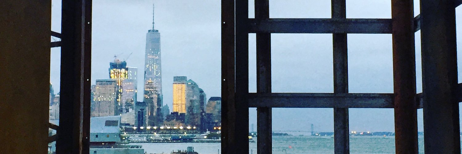 Vicki Cerullo banner