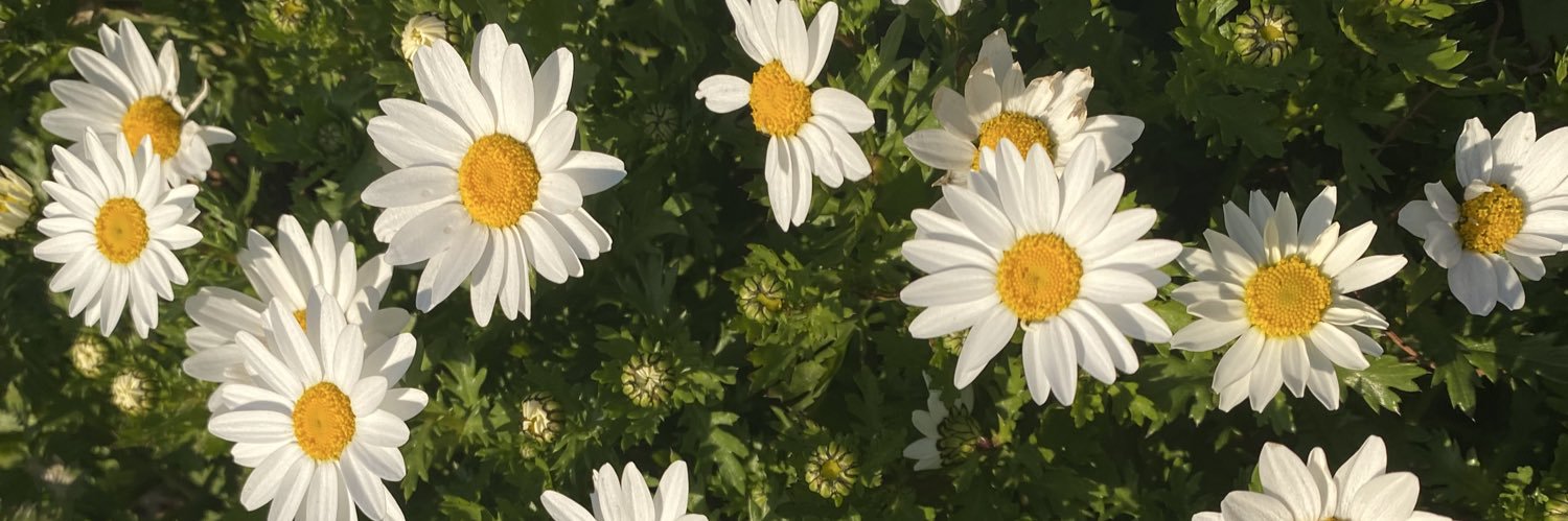 Oohana___'s profile banner image