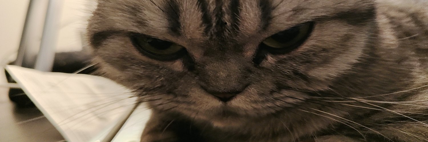 ( =⤚=) banner