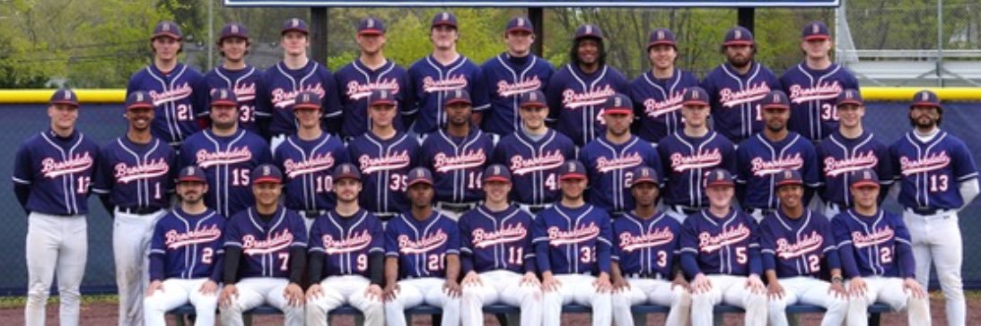 Brookdale Baseball banner