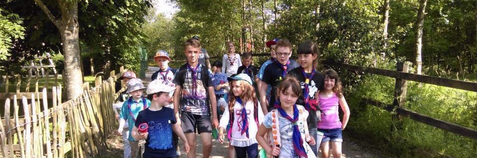 ASJScouts's profile banner image