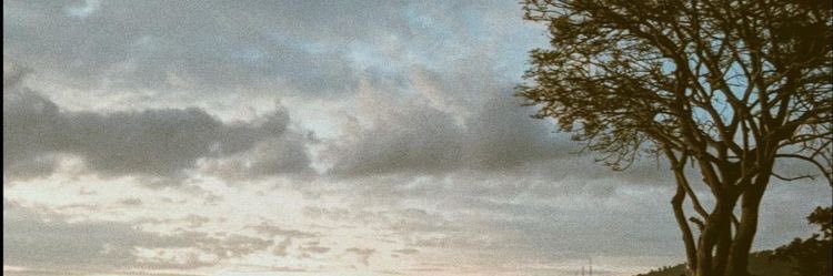 grethaxx_'s profile banner image