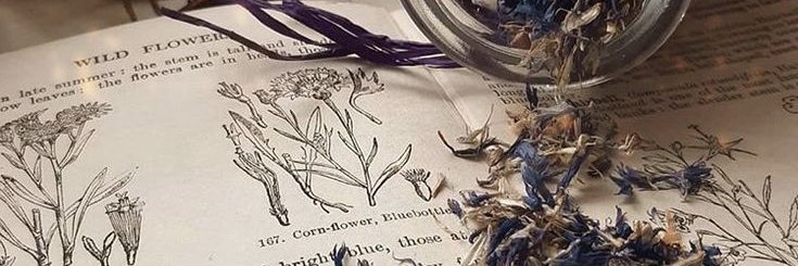 Belladonna banner