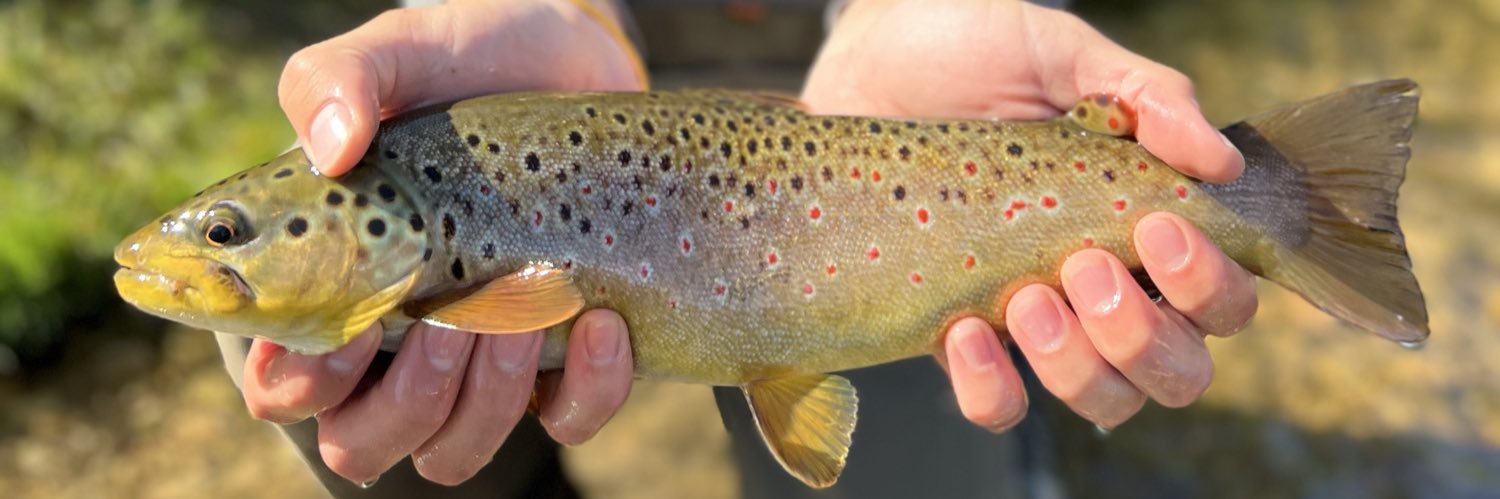 Anglers Den Utah banner