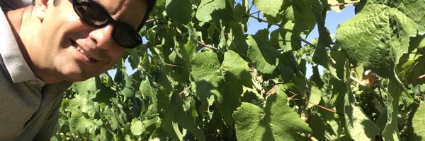 _Convino Profile Banner