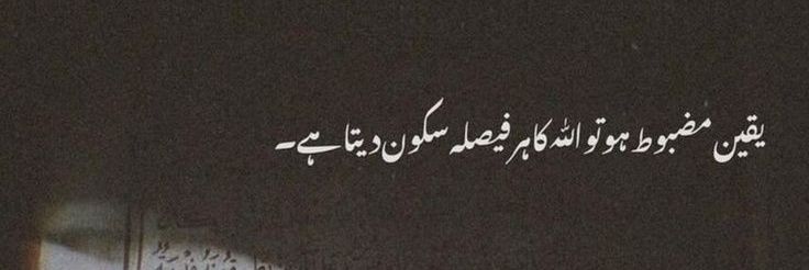 Shagufta khan's banner